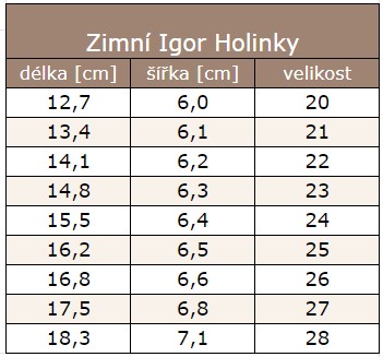 Snímek obrazovky 2024-10-23 130738